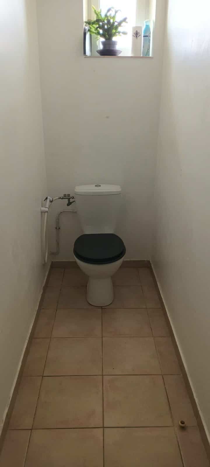 Toilette blanche avec abattant noir dans une petite pièce étroite, douchette bidet latérale et plante décorative.